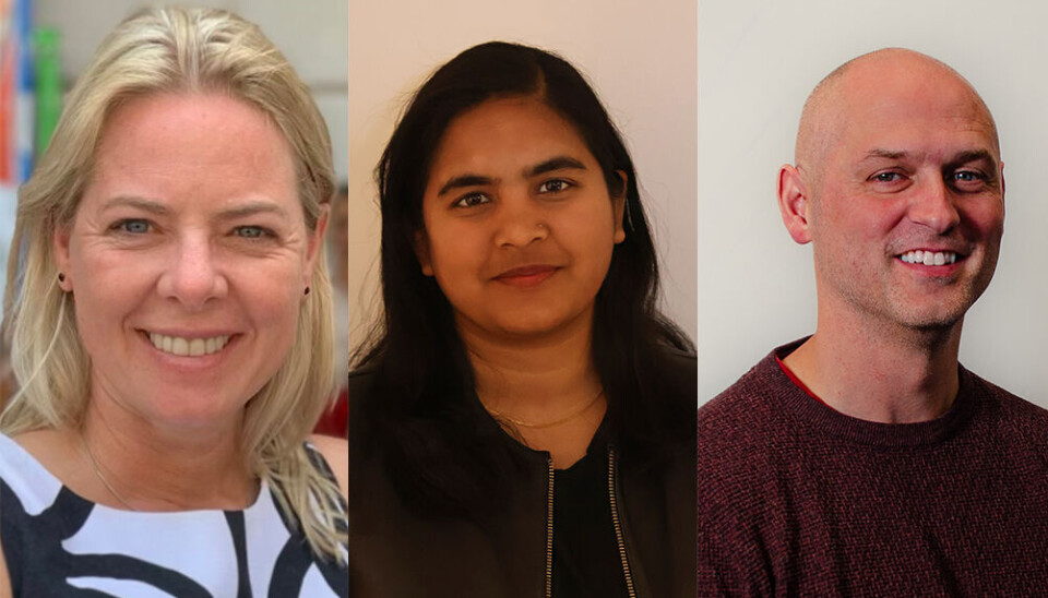SKADEREDUSERENDE: Å snakke om matens betydning kan bidra til at eldre voksne bevare sin verdighet og redusere risikoen for ødeleggende skader, skriver Olga Espegren, Mst Sumi Fayzunnesa og Thomas Gordeladze.