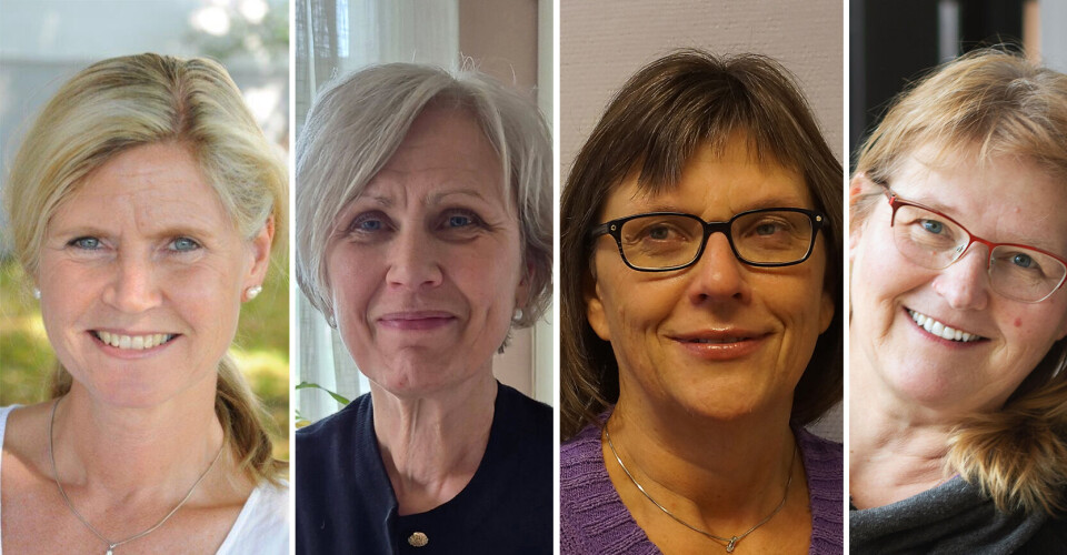 STORE VARIASJONER: Vi fant store substansielle variasjoner mellom de ulike studieplanene. Den korteste studieplanen har 6 sider, og den lengste 88, skriver Marianne Trygg Solberg, Mette Ragnhildstveit Sætra, Berit Mosseng Sjølie og Monika Ravik.