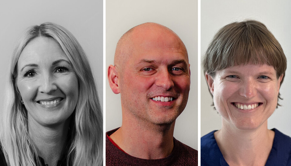 IKKE NOK: Det er ikke nok å vite hva som bør gjøres – ernæringskartlegging og tannpleie må faktisk gjennomføres, skriver Anne Marte Stubhaug Klem, Thomas Gordeladze og Liv Tveit Egeland.