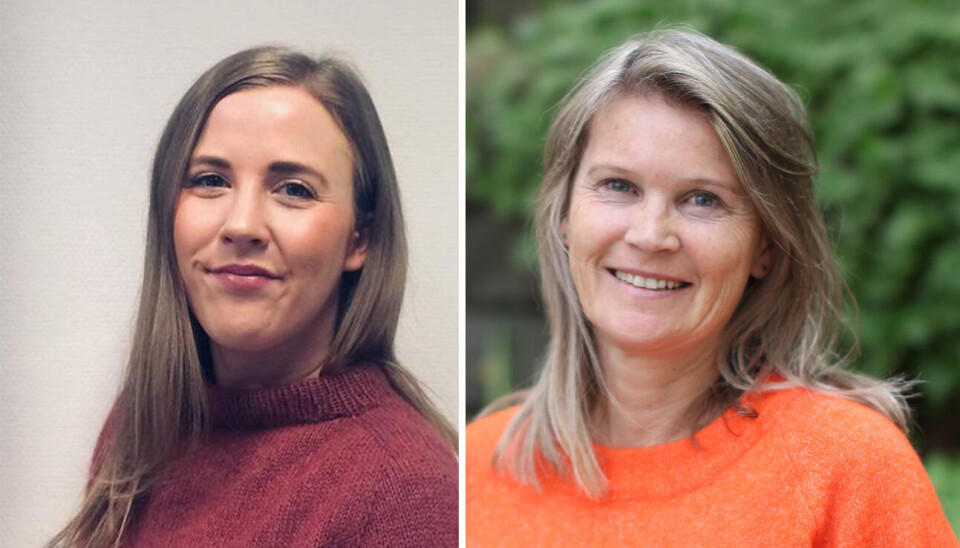 IRRELEVANT: Implementering av den nye diagnosen vil være svært viktig for dem det gjelder, men er irrelevant for diskusjonen om hvorvidt det er behov for sorgpermisjon som kan erstatte sykmelding i den akutte fasen etter tap av nærstående, skriver Anita Fjærestad og Trine Giving Kalstad.