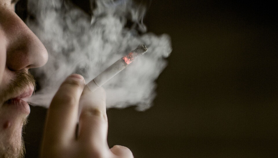 ØKER: 24 prosent av dem gutter og menn mellom 16 og 24 år røyker av og til. 13 prosent av jentene vaper.