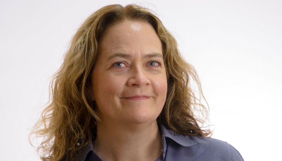 Elin Johanne Katle