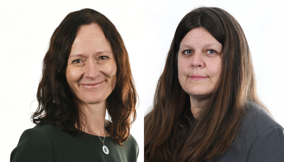 KRISA KOMMER: Vi vet at en ny krise kommer. Da er det avgjørende at vi er langt bedre rustet enn forrige gang. Det er vi i tvil om at vi er, skriver Torunn L. Hansen (t.h.) og Gro Lillebø.