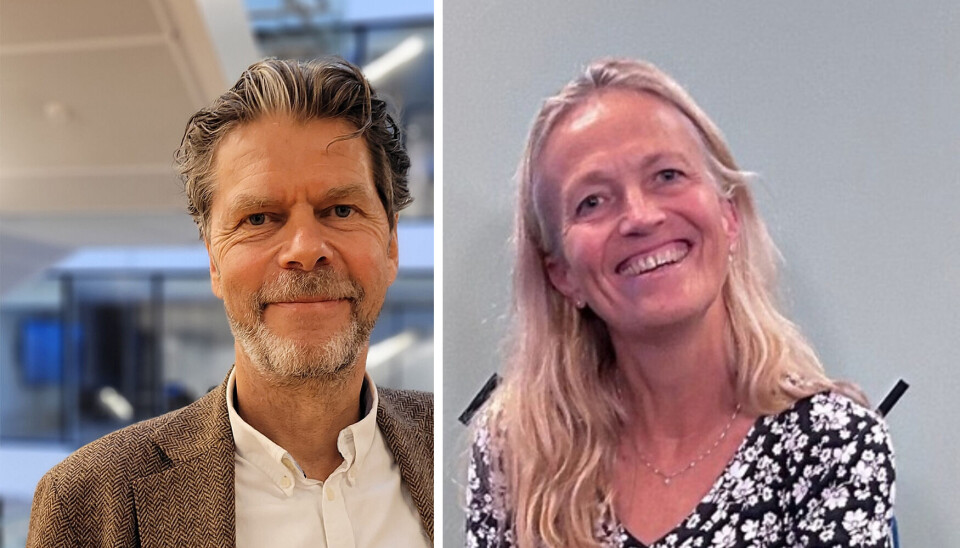 SERTIFISERT KI: Hva skal til for at et KI-verktøy alene, eller helsepersonell i kombinasjon med KI blir godkjent eller sertifisert for å løse arbeidsoppgaver? Kunstig intelligens vil utfordre og rokke ved våre etablerte kompetanseløp, skriver Sveinung Tornås og Hilde Lovett.