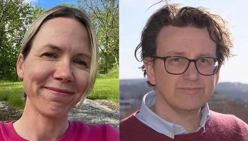 FÅR IKKE HJELP: I Hjernerystelsesforeningen møter vi mange som forteller at de ikke får hjelpen eller forståelsen de trenger i helsevesenet, skriver Kjersti Sunde og Helge Skirbekk.