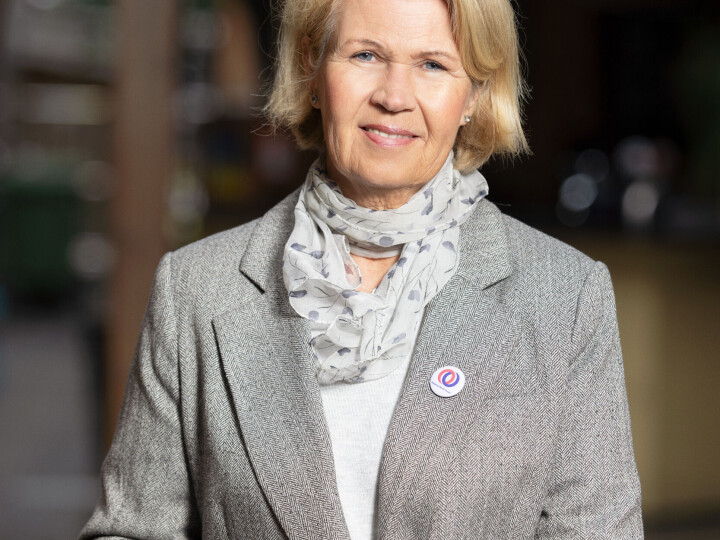 Anita Vatland, Generalsekretær i Pårørendealliansen