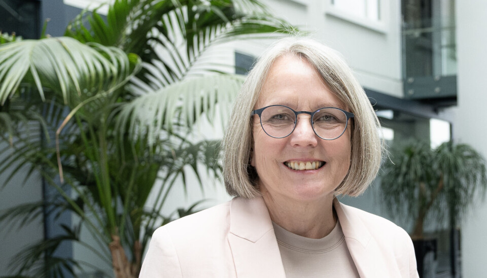 FAST ANSATT: Siri Beate Berg ansatt som administrerende direktør i Helseplattformen.Foto: Helseplattformen / Handout / NTB