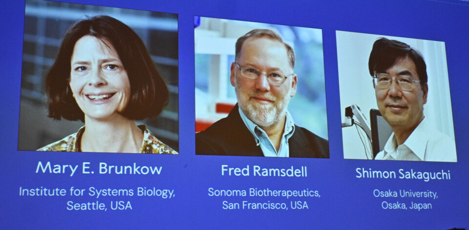 FÅR NOBELPRISEN: Mary Brunkow, Fred Ramsdell og Shimon Sakaguchi er tildelt årets nobelpris i medisin.