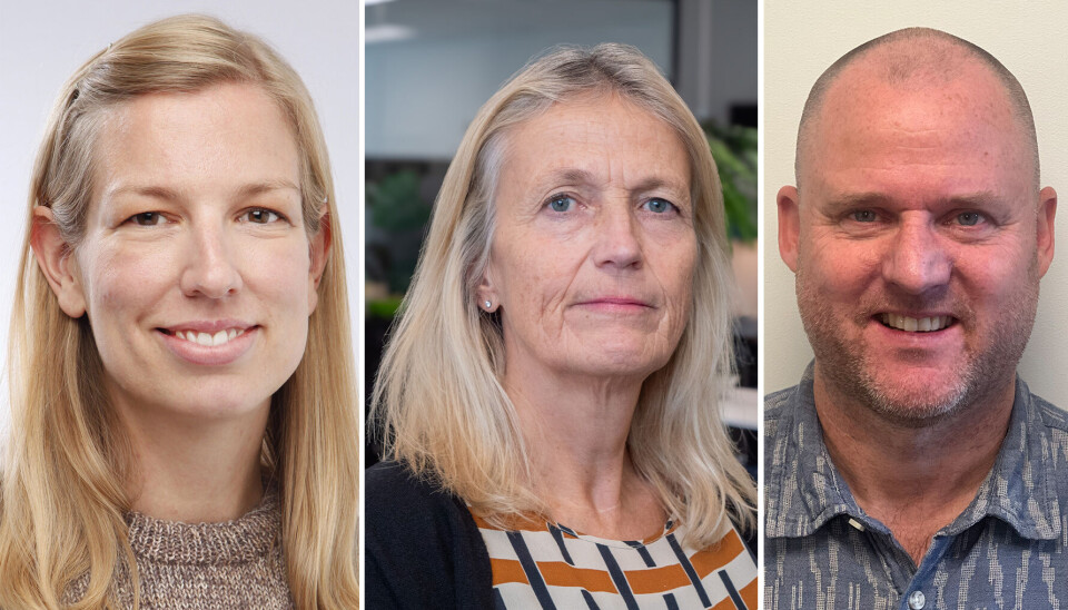 Det kan være krevende for helsepersonell å kvalitetssikre dokumentasjon som er KI-generert, når de ikke kjenner hvilke utvalg og vurderinger løsningen legger til grunn. Dette kan utfordre pasientsikkerheten, skriver Caroline Melsom, Hilde Margrethe Lovett og Erik Granberg.