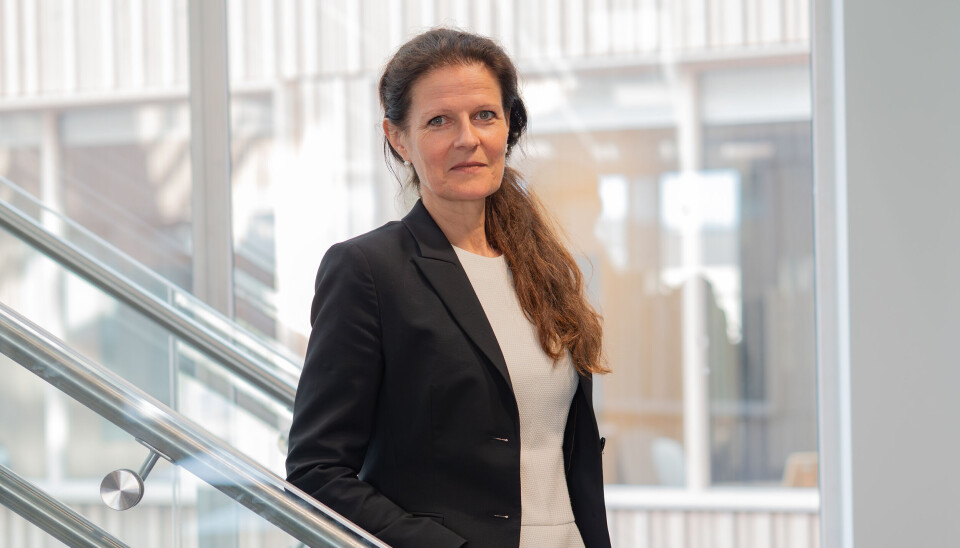 TRYGG OG GOD: Godt samspill mellom fastlege og jordmor gir trygg og god omsorg, til det beste for mor og barn både før og etter fødsel, skriver helsedirektør Cathrine Lofthus
