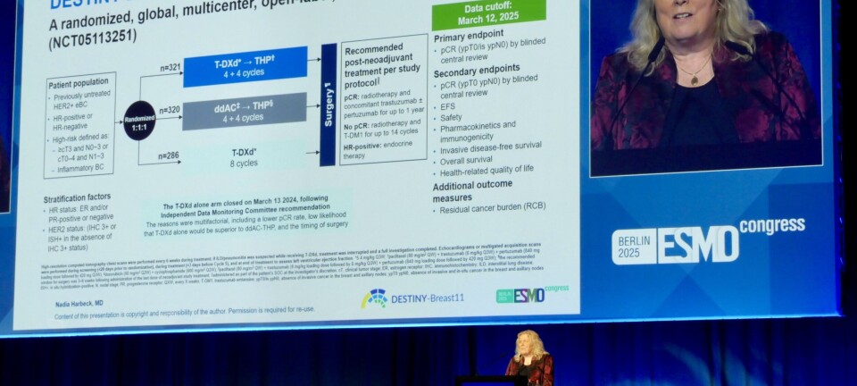 Nye studier for tidlig HER2-positiv brystkreft: – Potensielt praksisendrende