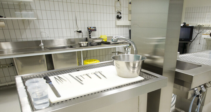 Pårørende kan måtte vente opp til ett år på svar om dødsårsak