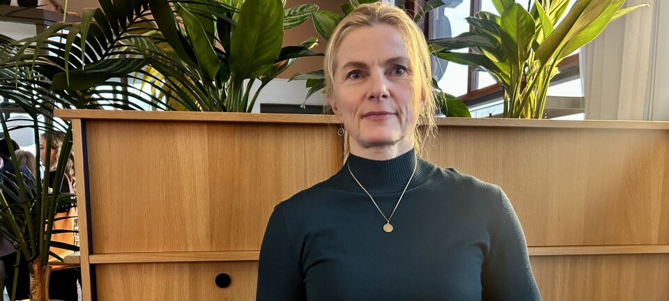 Styreleder oppfordret til saklighet og til å holde seg til fakta