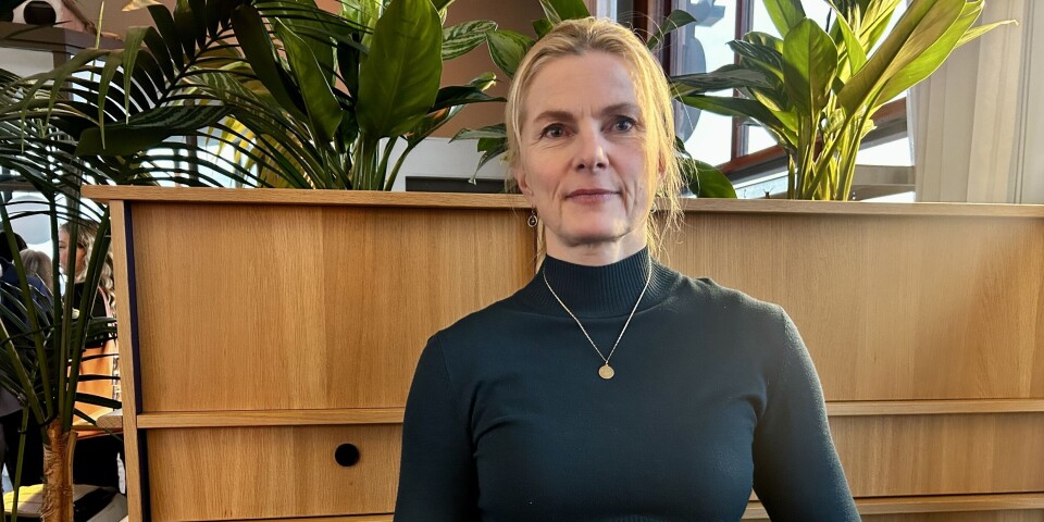 Styreleder oppfordret til saklighet og til å holde seg til fakta