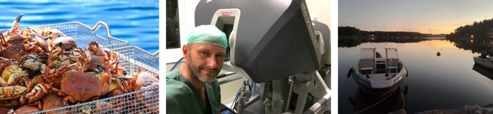 Overlege - gastroenterologisk kirurgi        Kirurgisk avdeling, Arendal