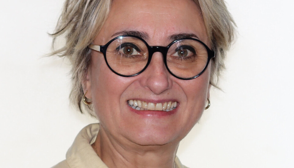 Blir assisterende direktør i Helsetilsynet